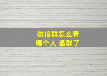 微信群怎么看哪个人 退群了